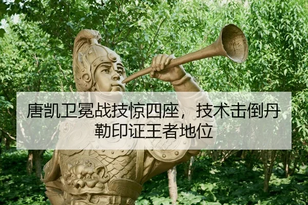 tang-kai-wei-mian-zhan-ji-jing-si-zuo-ji-shu-ji-dao-dan-lei-yin-zheng-wang-zhe-di-wei-2-286.jpg