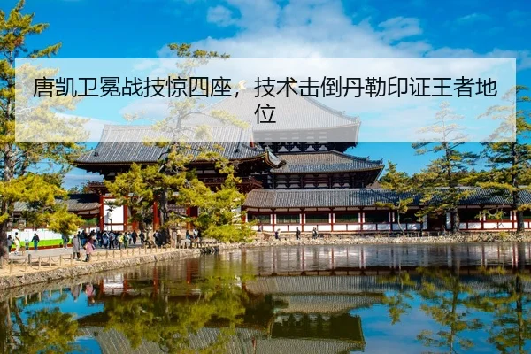 唐凯卫冕战技惊四座，技术击倒丹勒印证王者地位